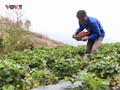 ຊາວ​ໜຸ່ມ ລາຍ​ເຈົາ Startup ໃນ​ຍຸກ​ດີ​ຈີ​ຕອນ