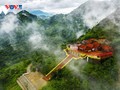  Yen Tu - Vinh Nghiem - Con Son - Kiep Bac Complex recognized as world cultural heritage 