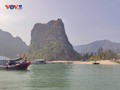 Vinh Long, Quang Ninh, Thanh Hoa accelerate IUU fishing crackdown