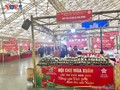 Spring Fair 2026 stimulates Tet shopping 