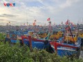 Taifun Kalmaegi zieht ins Ostmeer, Zentralvietnam bereitet sich auf Schutzmaßnahmen vor