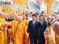 Vietnamese Buddhism actively contributes to international activities, says President 