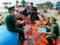 Quang Ngai tightens control over IUU fishing during Tet holiday