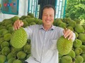 From orchard to opportunity: Can Tho farmer elevates local durian