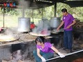 Традиционная деревня по производству тростниковой патоки в провинции Хатинь  более  полувека сохраняет секреты ремесла