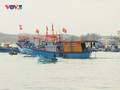 Ngư dân Vạn Tường (Quảng Ngãi) ra khơi đầu Xuân vì một nghề cá bền vững