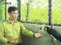 Garten für Wildtierrettung und Pflanzensammlung Lung Ngoc Hoang in Hau Giang