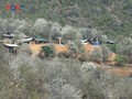 Das Dorf Nam Nghiep entwickelt den Tourismus durch Docynia 