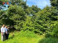 Huỳnh Thanh Lâm et son ambition de faire rayonner le durian de Nhon Ai