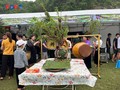 Phiêng Khoài mise sur les vergers pour dynamiser son économie rurale