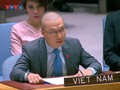 Le Vietnam plaide pour le droit international en mer Orientale