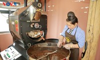 เซินลาแสวงหาแนวทางที่ยั่งยืนให้แก่อุตสาหกรรมกาแฟ