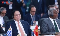 Primer Ministro de Vietnam propone medidas globales sobre medio ambiente y salud en la Cumbre BRICS
