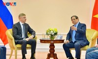 Vietnam y Rusia impulsan la cooperación en el transporte ferroviario intermodal internacional