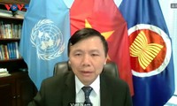 Vietnam expresa preocupación ante tensiones en Jerusalén Oriental 