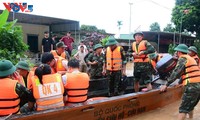 Realizan esfuerzos en labores de socorro en zonas inundadas de Nghe An
