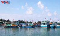 Quang Ngai refuerza el control sobre la pesca INDNR durante las vacaciones del Tet
