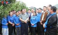 À Diên Biên, Pham Minh Chinh visite un projet de culture du macadamia
