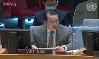 Vietnam calls for more dialogues to solve challenges in Central Africa