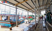 Dak Lak steps up efforts to have IUU yellow card lifted 