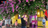 Mehr als zwölf Millionen ausländische Touristen besuchen Vietnam in den vergangenen sieben Monaten