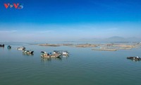 Quang Ninh erfüllt frühzeitig Kriterien für Fischereimanagement