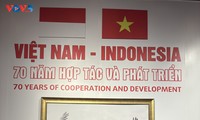 Vietnam-Indonesia: 70 Tahun Kerja Sama dan Perkembangan