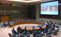 UN Security Council discusses Abyei situation