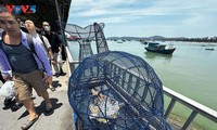 Co To Island intensifies efforts to protect marine environment