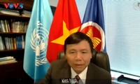 Vietnam Mengimbau Semua Pihak di Haiti untuk Melakukan Dialog guna Menuju ke Solusi yang Komprehensif