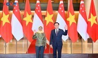 Vietnam dan Singapura Perkuat Kerja Sama di Forum-Forum Multilateral