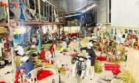 Die Schönheit des traditionellen Handwerksdorfs für Gras-Besen Chiem Son in der Provinz Quang Nam 