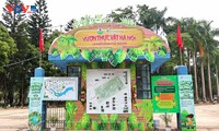 河内植物园：充满吸引力的绿色旅游目的地