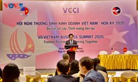 Vietnamese, American businesses discuss trusted partnership 