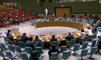 Vietnam affirms consistent viewpoint on Golan Heights situation  