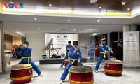 Vietnamese culture shines at UNESCO