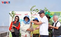 More than 2,000 trees planted in Can Tho under “For a green Vietnam” program