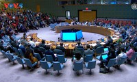 Le Vietnam plaide pour un développement durable au service de la paix
