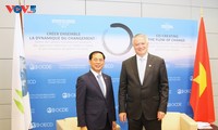 Vietnam steps up cooperation with OECD 