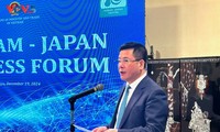 Vietnam-Japan Business Forum opens in Tokyo 