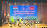 Vietnam, India celebrate people’s friendship in Vinh Phuc