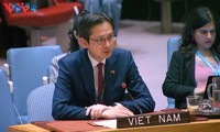 越南重视联合国宪章的历史意义和核心价值