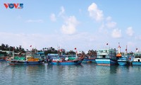 Quang Ngai verschärft Bekämpfung der IUU-Fischerei während des Tetfestes