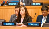 Vietnam Hadiri Sidang ke-4 Kelompok Kerja PBB