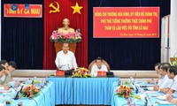 Deputy PM calls on Ca Mau to reform growth model 