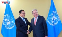 Vietnam values and supports UN’s central role in global governance