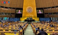 Vietnam calls for swift global action to address crises in Gaza, Middle East 