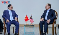 Vietnam, Malaysia PMs talk deepening partnership 