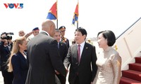President Luong Cuong paying state visit to Egypt 