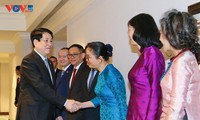 President Luong Cuong paying state visit to Egypt 